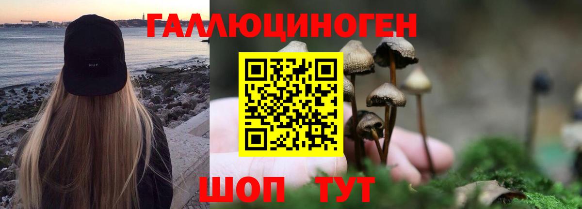Галлюциногенные грибы ЛСД  Вход с VPN  Ногинск  Галлюциногенные грибы Cubensis 